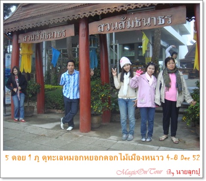 photo magic on tours
