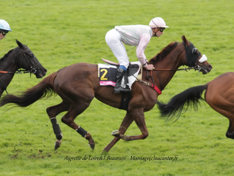 Photos Auteuil 16-05-2015 Week-end printanier de l'obstacle  IMG_9492