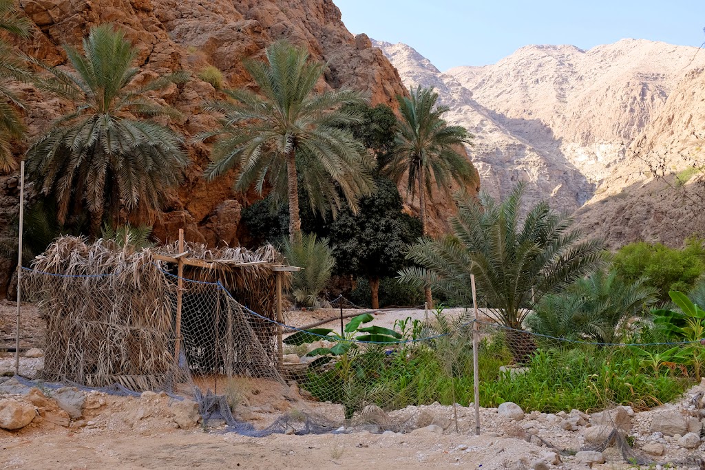 Audi Q5 to Wadi Shab in Oman