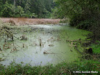 Mud Lake