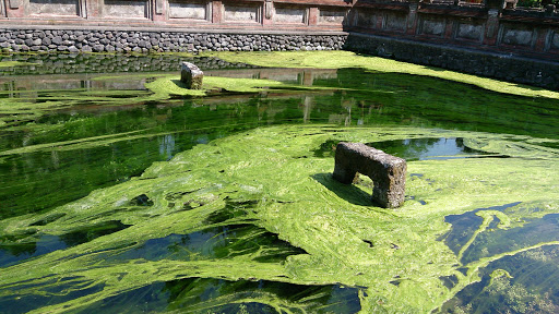 Pura Tirta Empul