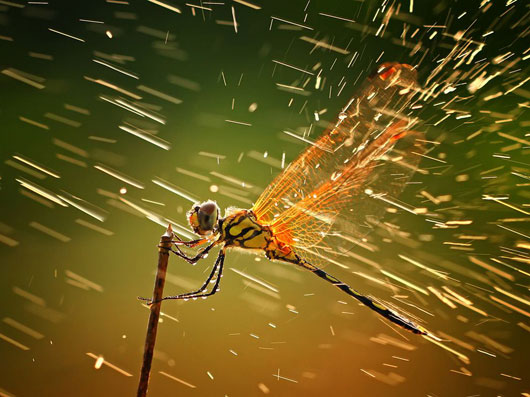 bruno rezende, coluna zero, fotografia, photo, foto, Photo fo the Day, natgeo, national geographic
