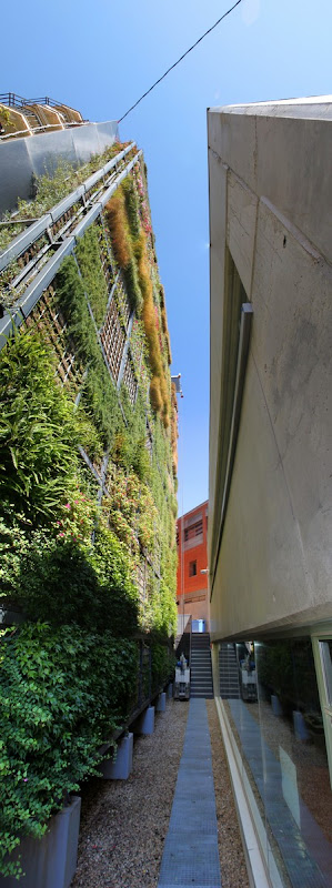 Jardín vertical San Vicente
