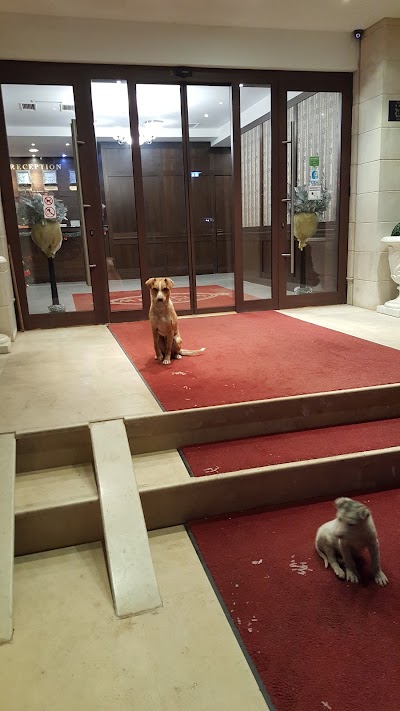 Photos of SPA HOTEL MEDIKUS