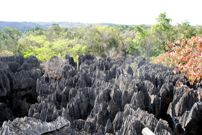Madagascar entre aventura y mar - Blogs de Madagascar - Los parques del Tsingy de Bemaraha (2)