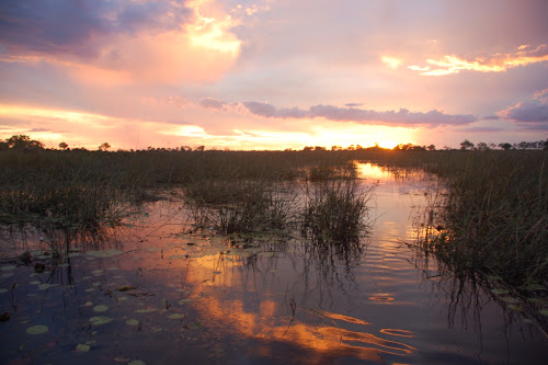 Okavango Delta sunset, Botswana