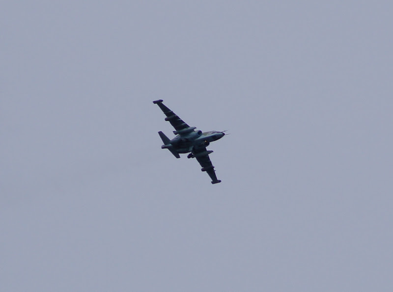 DSC09380-1.jpg