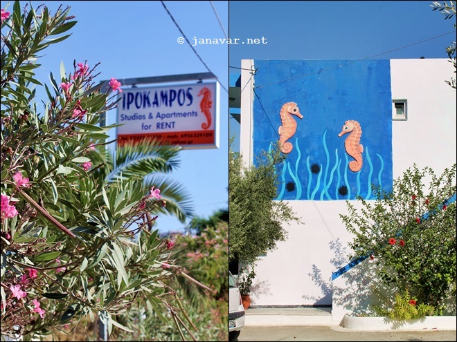 Reisetipp: Ipokampos-Apartments auf Kos, Griechenland