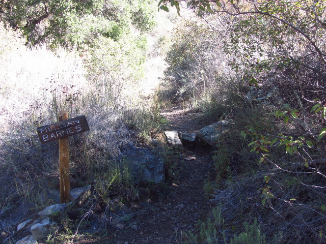 Morgan Barnes Trail