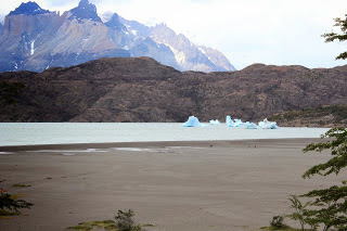 Rumbo al Norte, rumbo al Sur. Torres del Paine y lago Grey. - EL AÑO DE LAS DOS PRIMAVERAS: 4 MESES VIVIENDO CHILE (7)