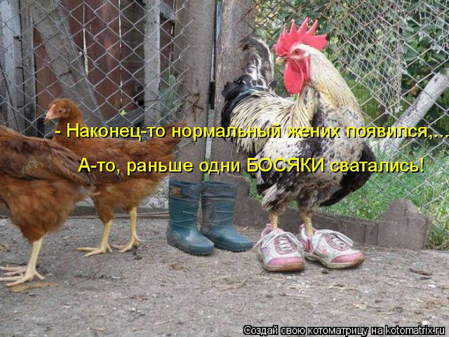 Ни дня без улыбки. Женщина - это образ, стиль и уровень жизни мужчины. Ни дня без улыбки. Женщина - это образ, стиль и уровень жизни мужчины.