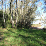 Grassy section of foreshore