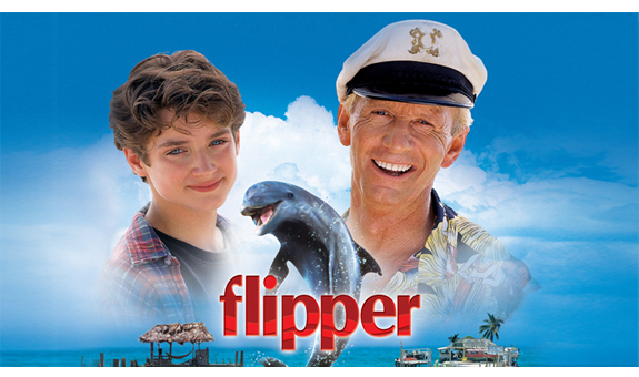 Flipper-thumb-575x340-3113.jpg