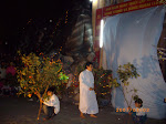 IMGP1113.JPG