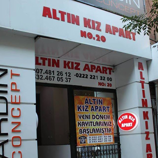 ALTINKIZ APART logo