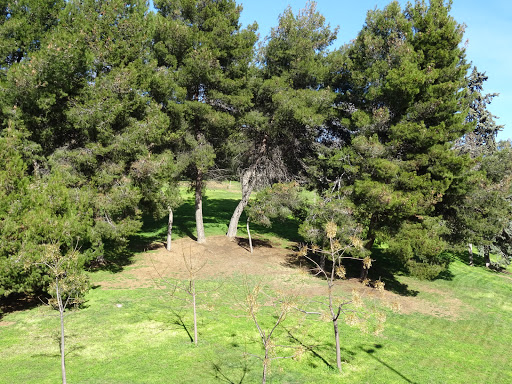 Parque de Roma