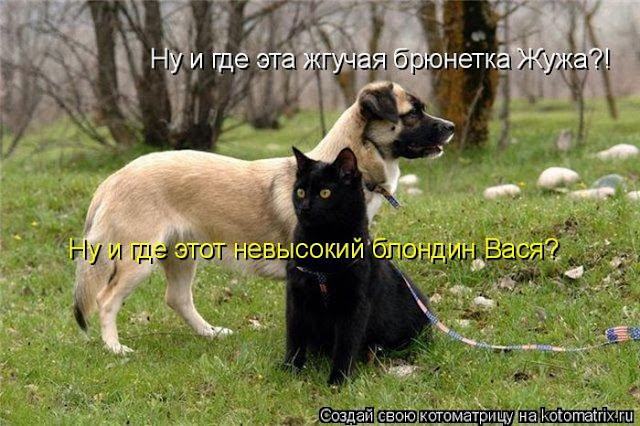 Ни дня без улыбки: последняя в июне... Ни дня без улыбки: последняя в июне...