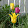 Davey Snyder Davey Snyder's profile photo