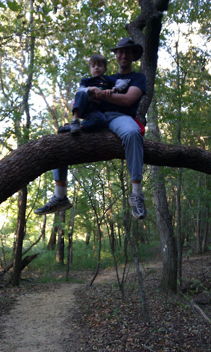 Brian in a tree