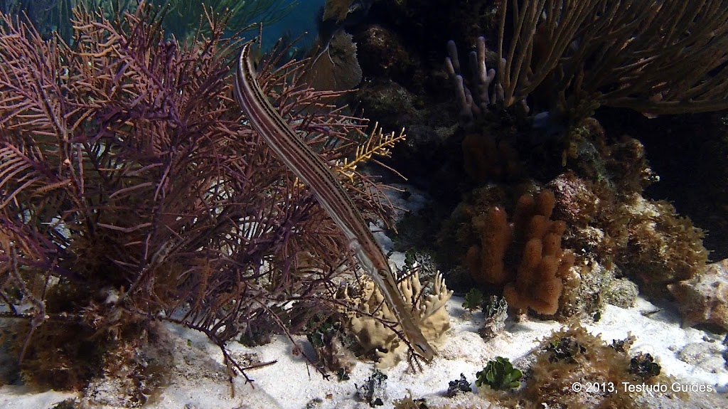 P9160246.JPG