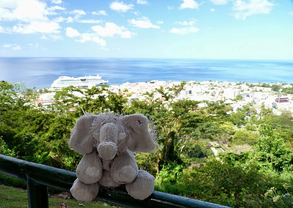 Слоны по-карибски: круиз AIDAluna, февраль 2014
