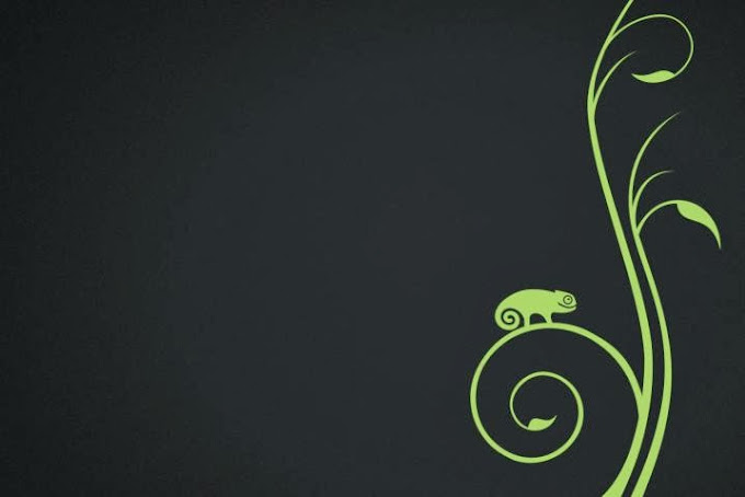Disponible openSUSE 13.1 RC2