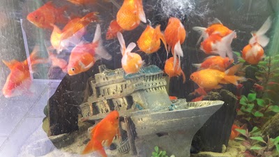 Photos of ACUARIO NEPTUNO