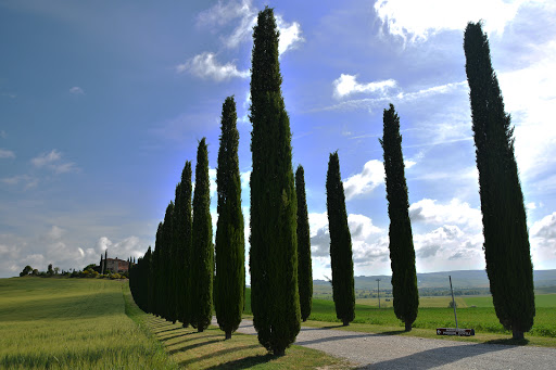 Farmhouse Poggio Covili