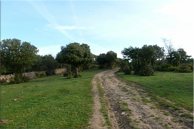 Marcada pista Marcada pista