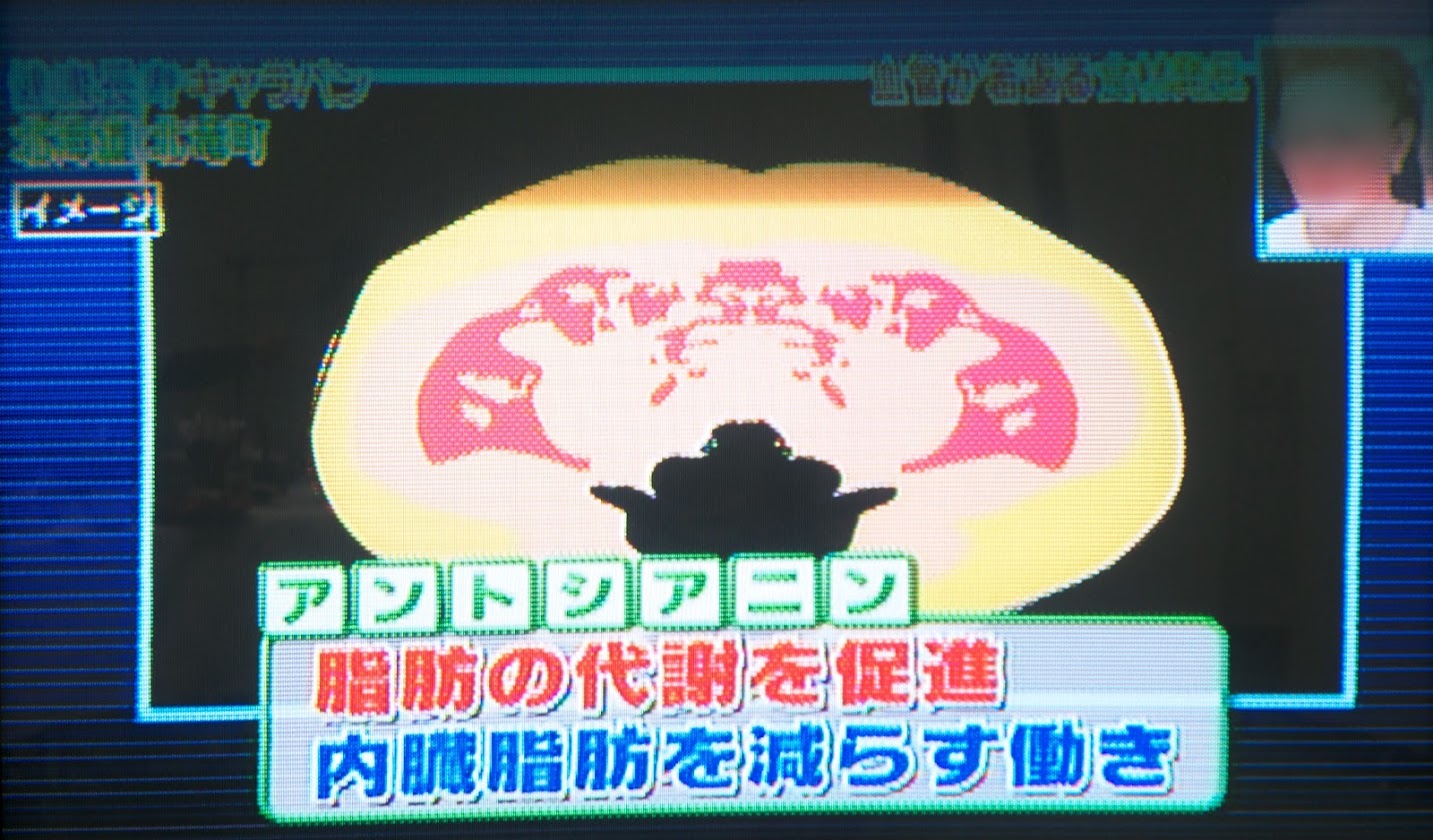 アントシアニン:脂肪の代謝を促進、内蔵脂肪を減らす働き
