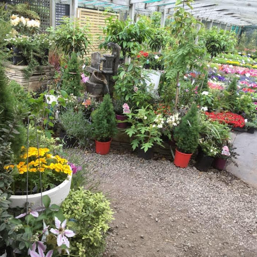 Gray Floral Nursery and Garden Centre