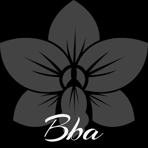 BBA Lash & Brow Art Studio - Eyelash Extensions | Russian Volume | Lash Lift | Henna | Brow Lamination | Powder Brows logo