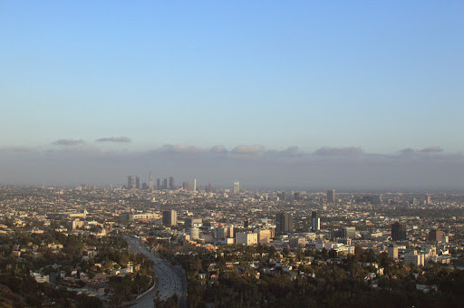 The Groves Overlook
