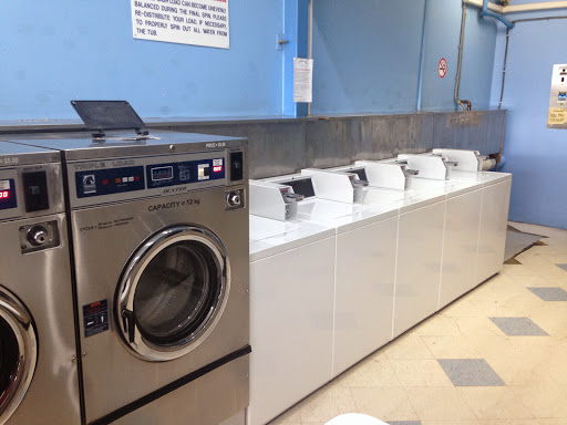 Brunswick b1m5781