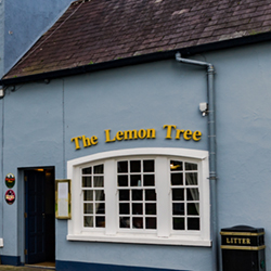The Lemon Tree Restaurant logo