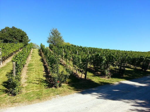 Malivoire Wine Company