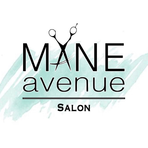 Mane Avenue Salon