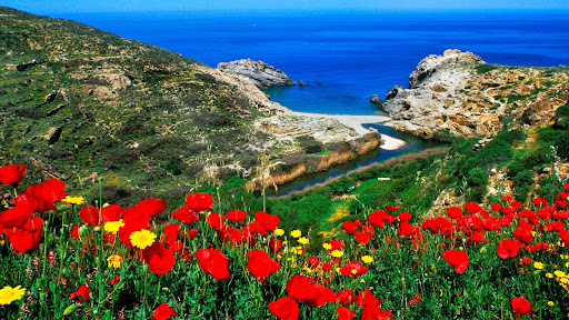 Ikaria, Aegean Islands, Greece.jpg