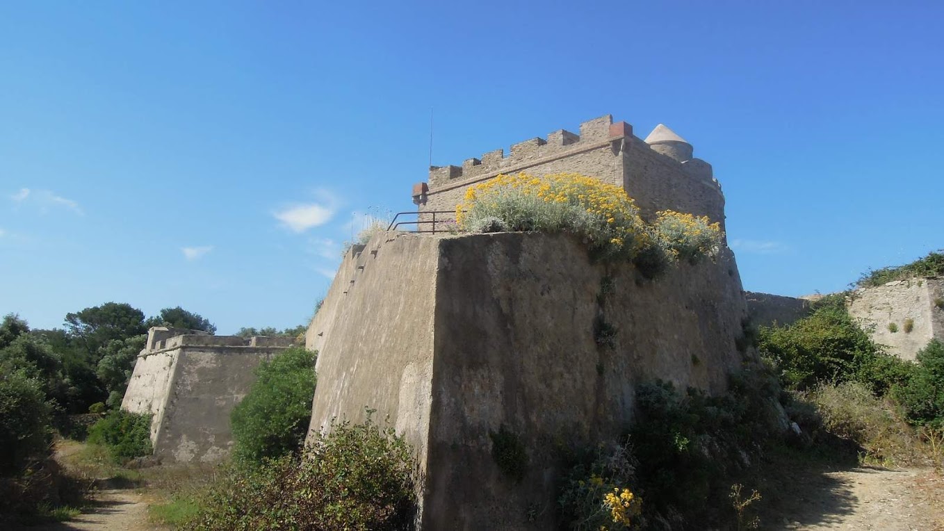 Randonnée a Port-Cros le 4 juin 2015  DSCN9896