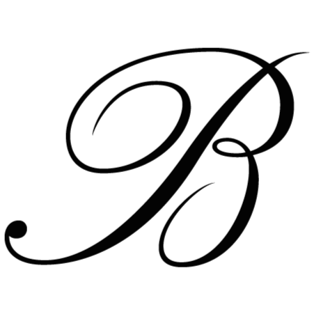Space Gallery B8 logo