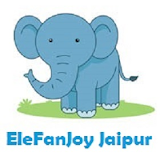EleFanJoy Best Wildlife Elephant sanctuary (Office)