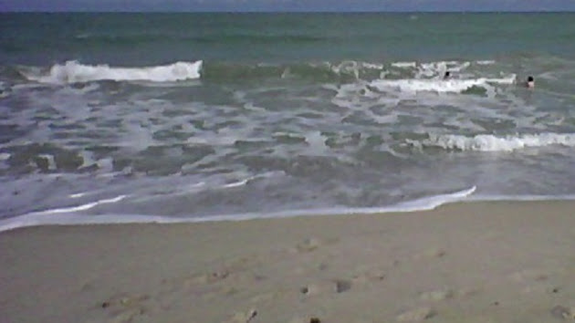 Cover photo