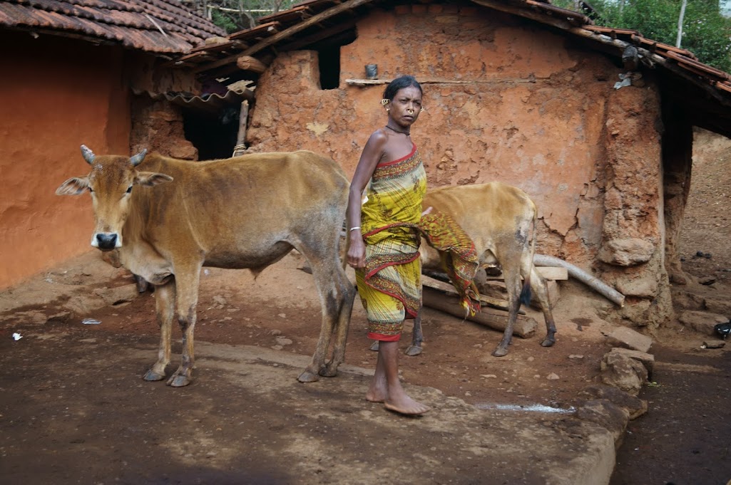 Открывая Индию. Агра, племена Ориссы, Андаманы (март 2013)