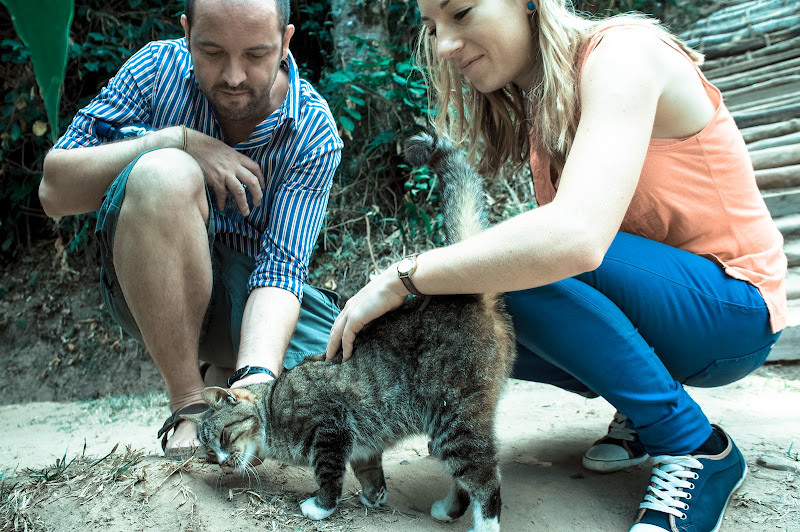 Of course, I made friends with kittens while at the bonobo reserve (the other one was cuddled with me while I took the photo).