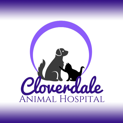 Cloverdale Animal Hospital: Dr. Michael T Gillum DVM logo
