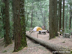 Campsite next to Park HQ