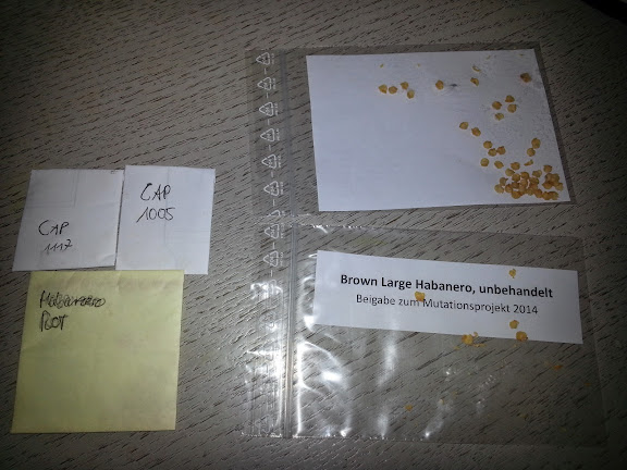 20140605_141010.jpg