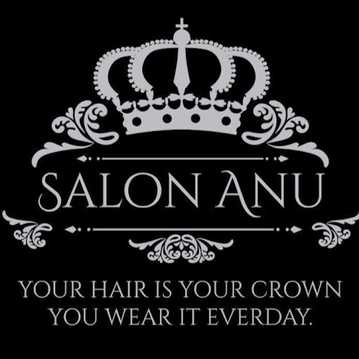 Salon ANU logo