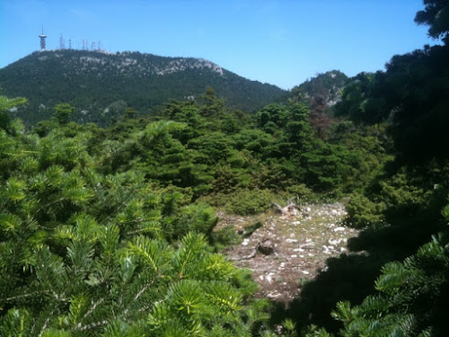 IMG_0230.JPG