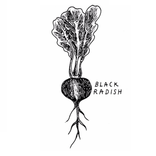 Black Radish Grocer logo